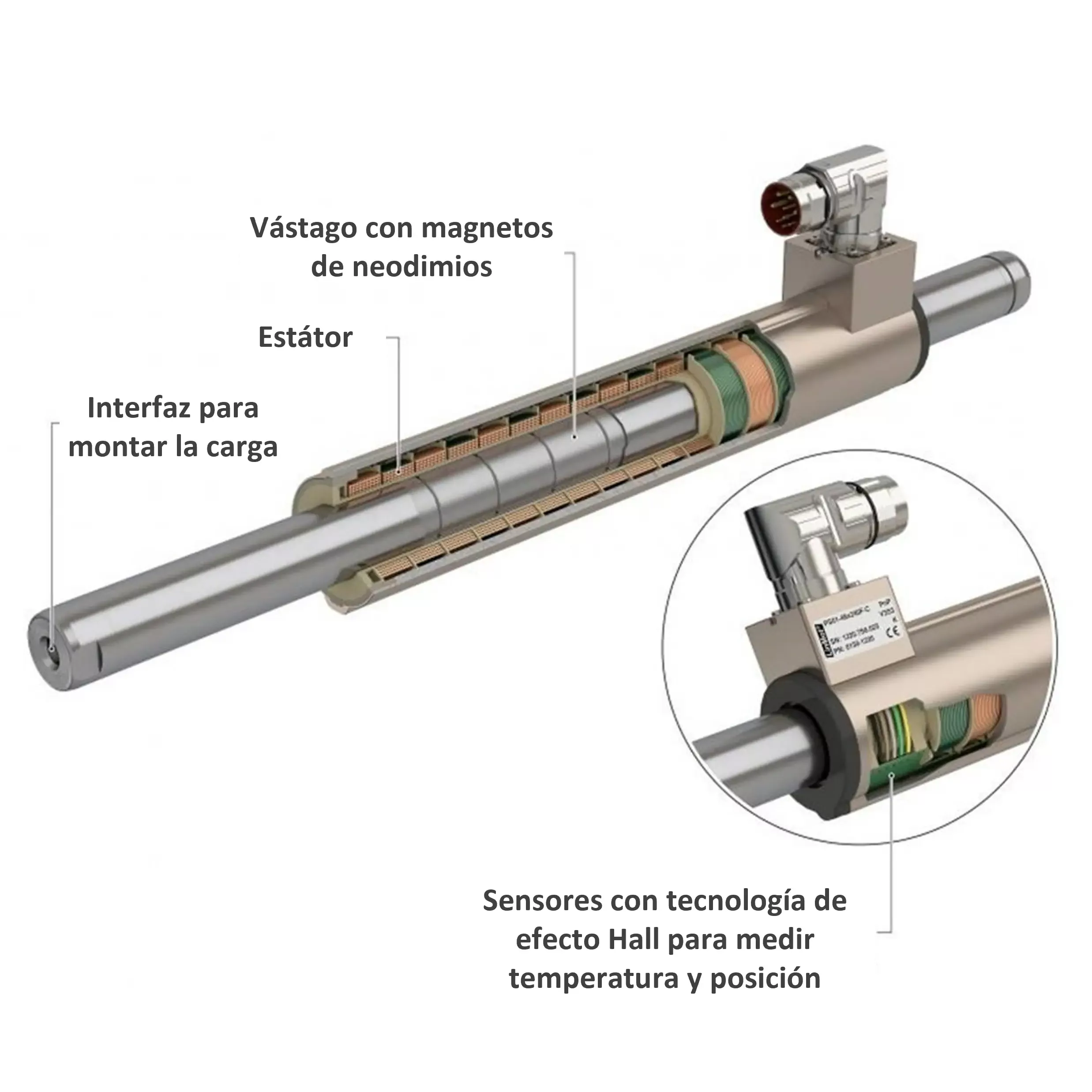 Motor lineal con sensor Hall.